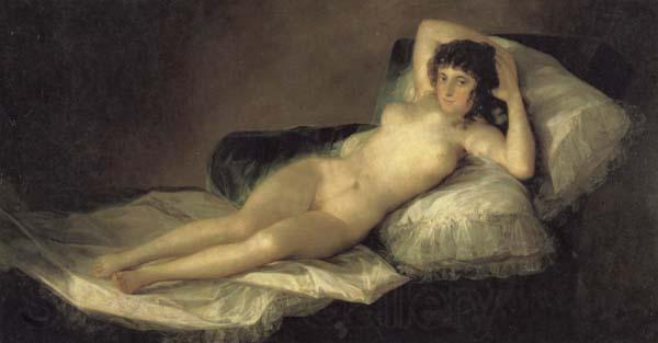 Francisco de goya y Lucientes The Maja Nude Spain oil painting art